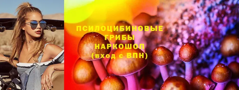 hydra маркетплейс  darknet телеграм  Галлюциногенные грибы MAGIC MUSHROOMS  Абинск 