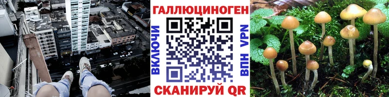Галлюциногенные грибы MAGIC MUSHROOMS  Абинск 