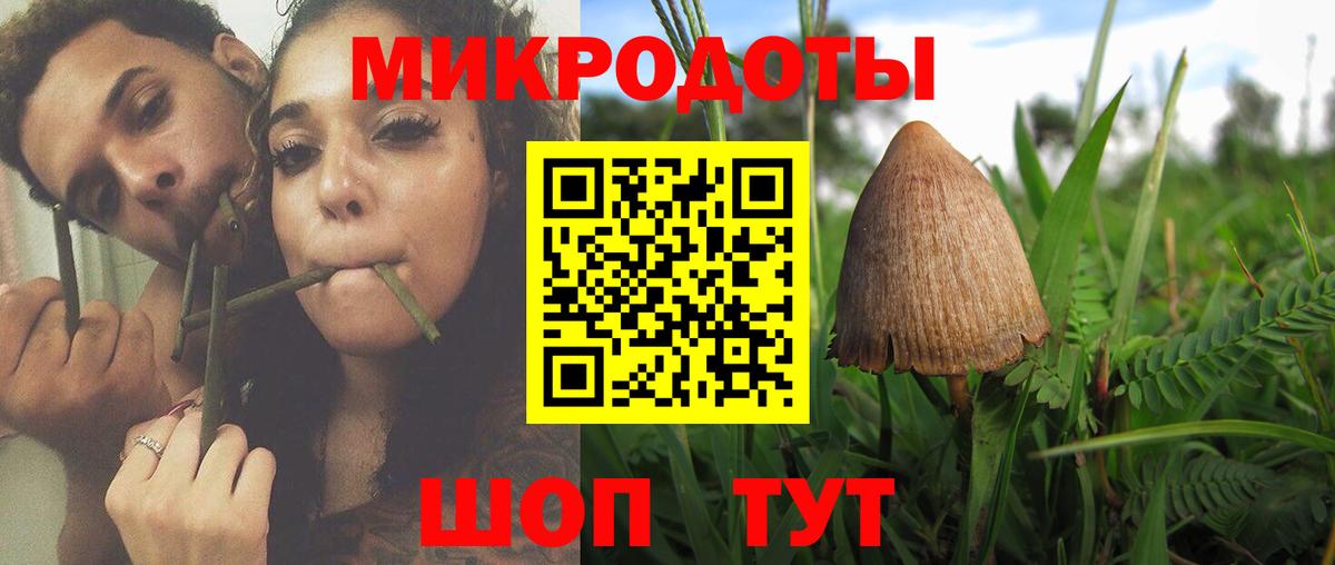 NBOMe Абинск