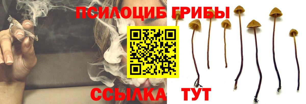 Псилоцибиновые грибы MAGIC MUSHROOMS Абинск